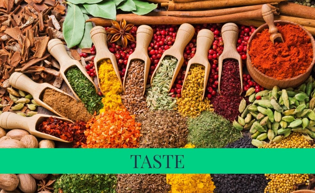 taste the world